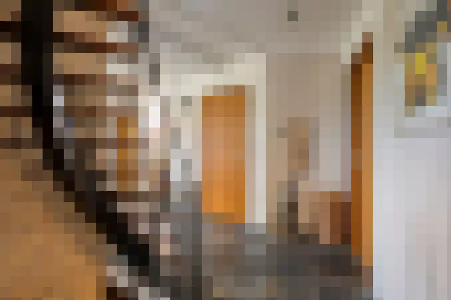 Jokweg 32 De Hoeve thumbnail 7