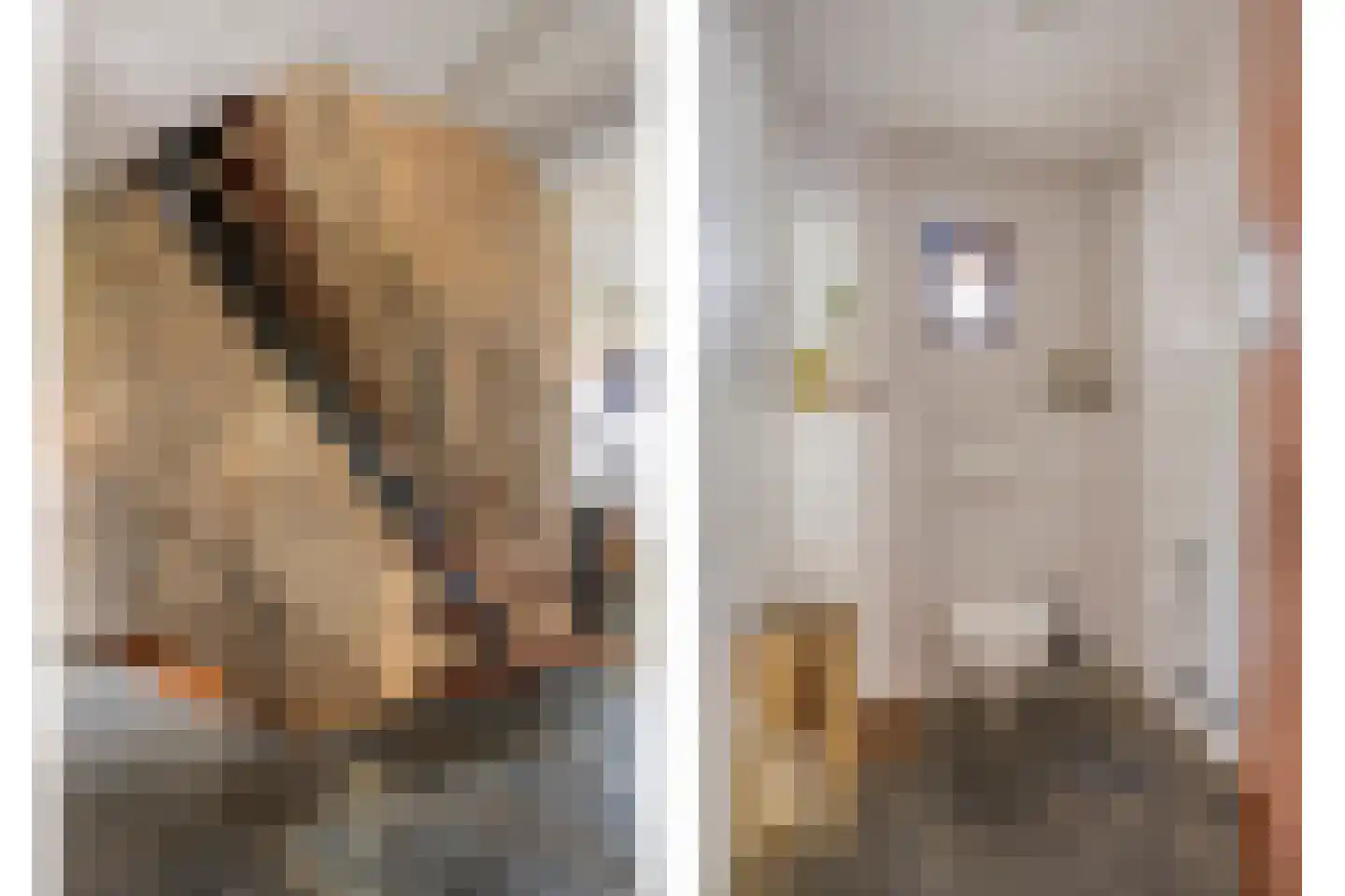 Jokweg 32 De Hoeve thumbnail 8