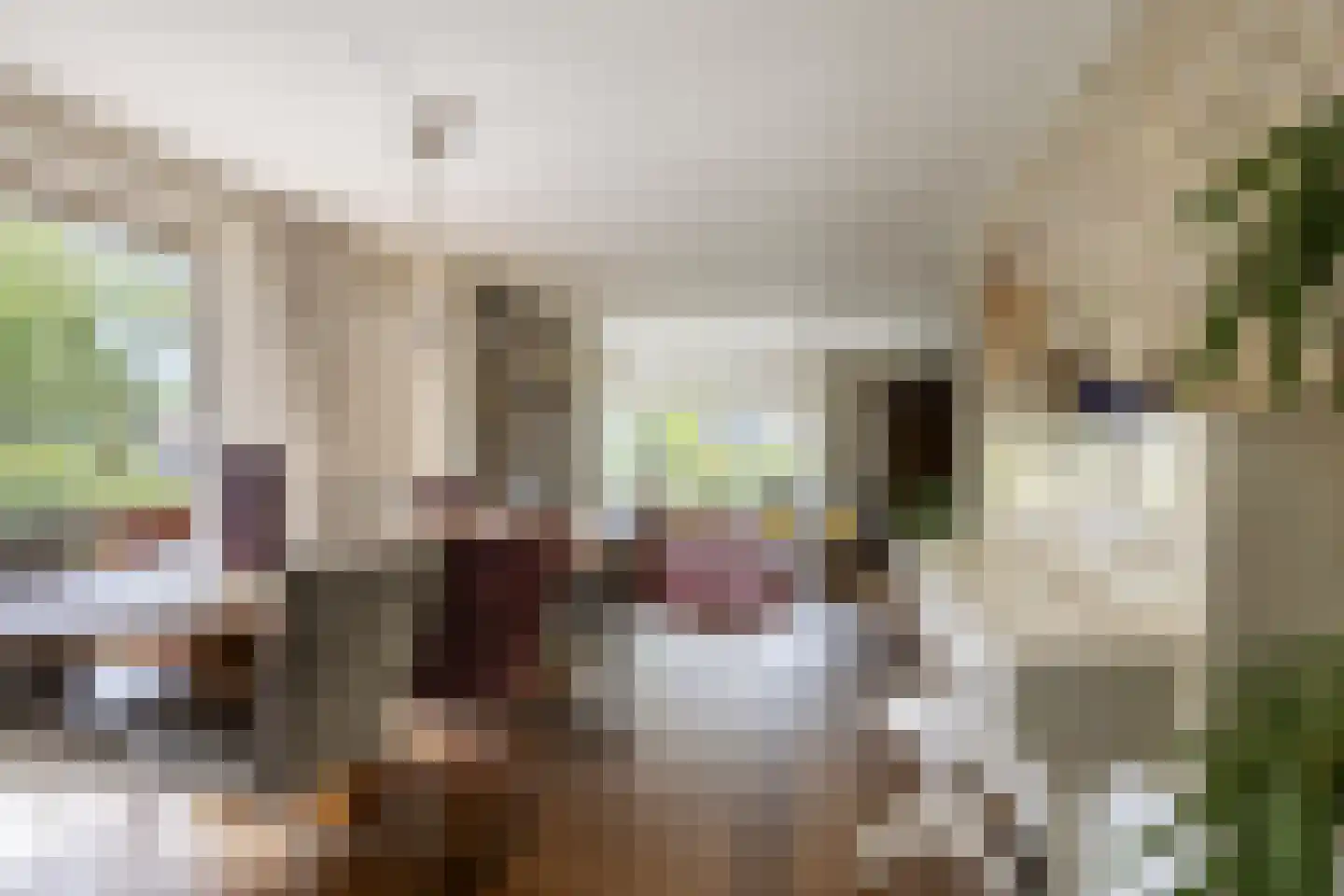 Jokweg 32 De Hoeve thumbnail 9