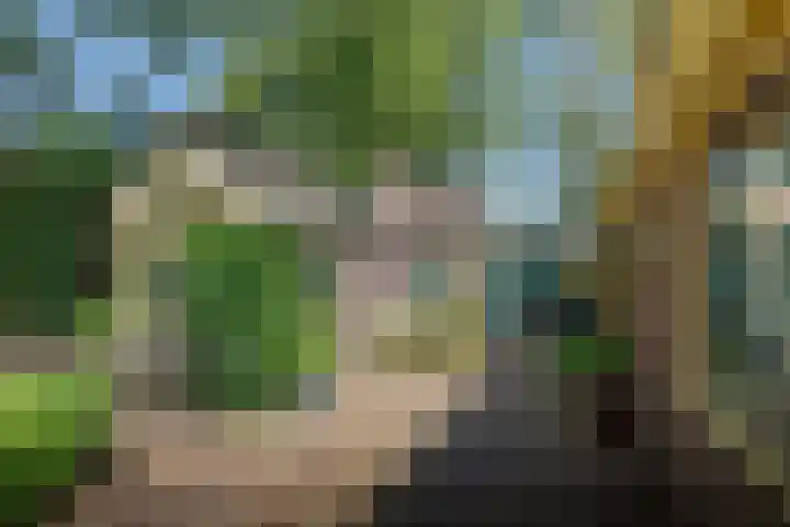 Jokweg 43 De Hoeve thumbnail 17