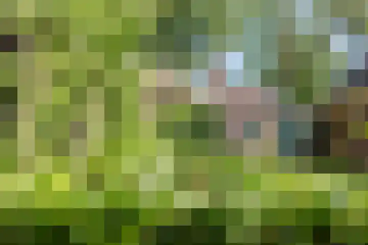 Jokweg 43 De Hoeve thumbnail 18