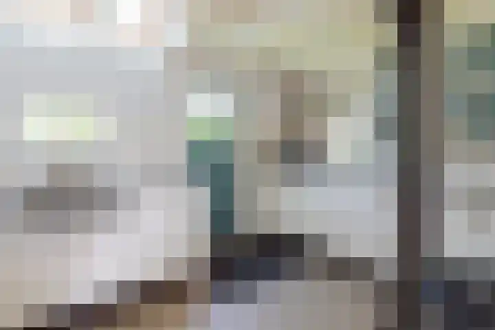 Jokweg 43 De Hoeve thumbnail 30