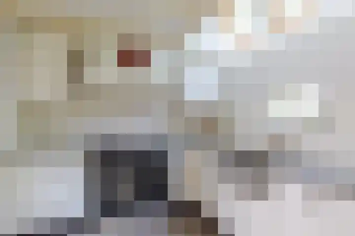 Jokweg 43 De Hoeve thumbnail 32