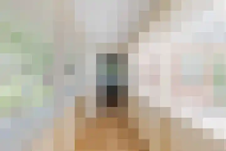 Jokweg 43 De Hoeve thumbnail 36