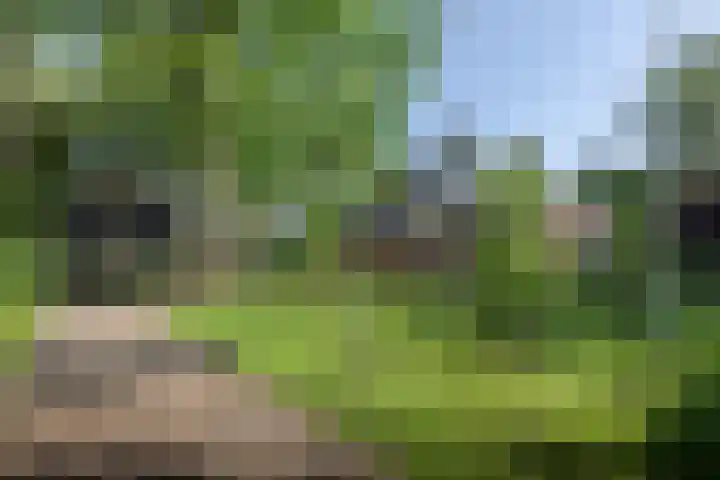 Jokweg 43 De Hoeve thumbnail 4