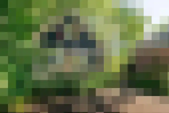 Jokweg 43 De Hoeve thumbnail 46
