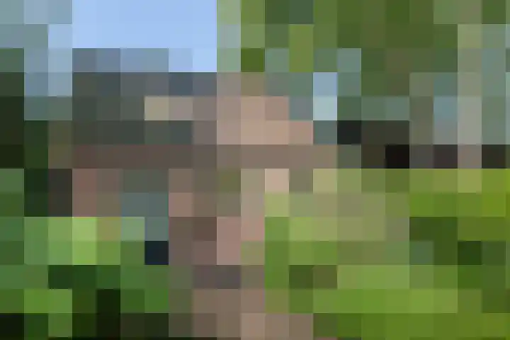 Jokweg 43 De Hoeve thumbnail 47