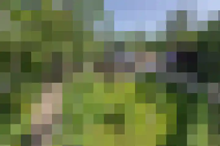 Jokweg 43 De Hoeve thumbnail 5