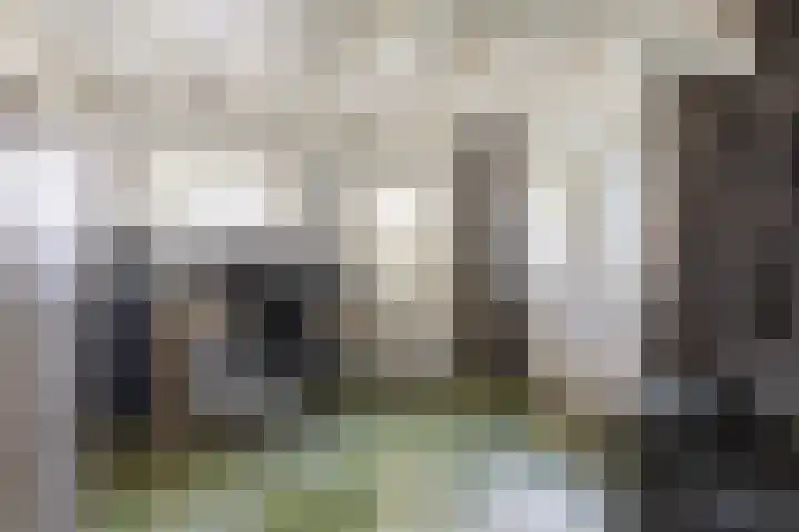 Jokweg 43 De Hoeve thumbnail 50