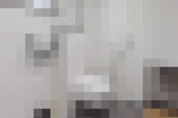 Jokweg 43 De Hoeve thumbnail 52