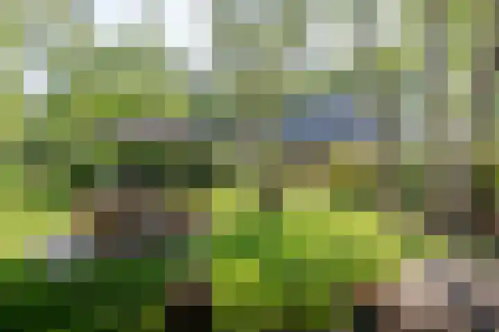 Jokweg 43 De Hoeve thumbnail 57