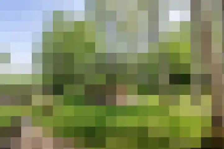 Jokweg 43 De Hoeve thumbnail 58