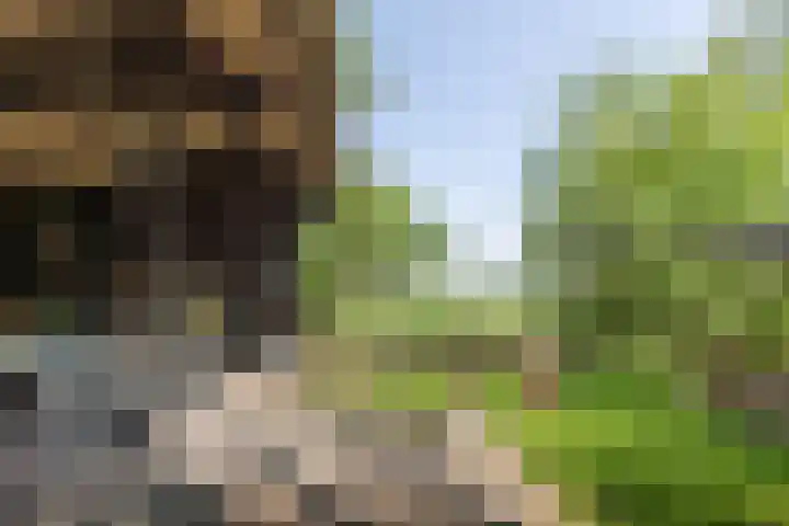 Jokweg 43 De Hoeve thumbnail 59