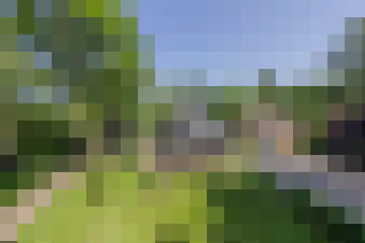 Jokweg 43 De Hoeve thumbnail 6