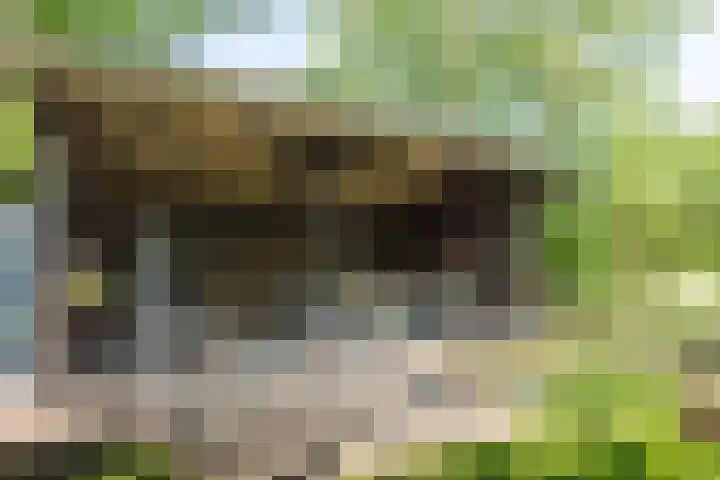 Jokweg 43 De Hoeve thumbnail 60