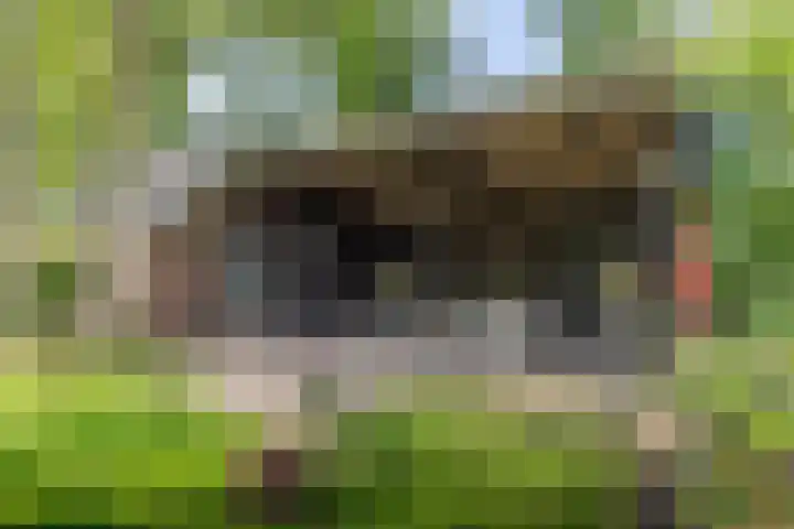 Jokweg 43 De Hoeve thumbnail 61