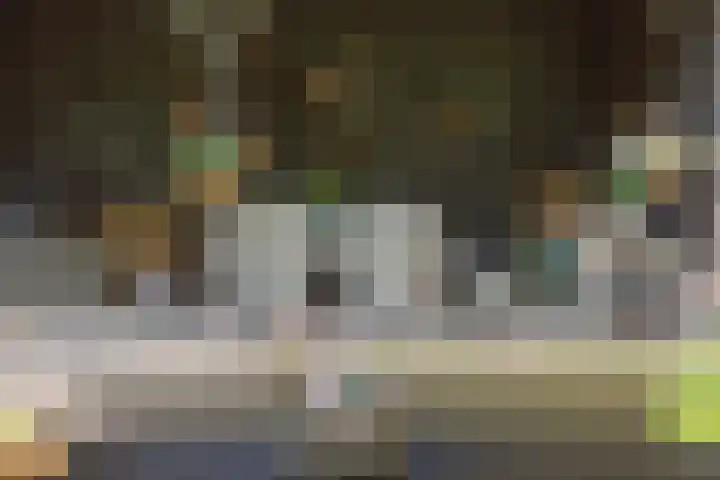 Jokweg 43 De Hoeve thumbnail 62