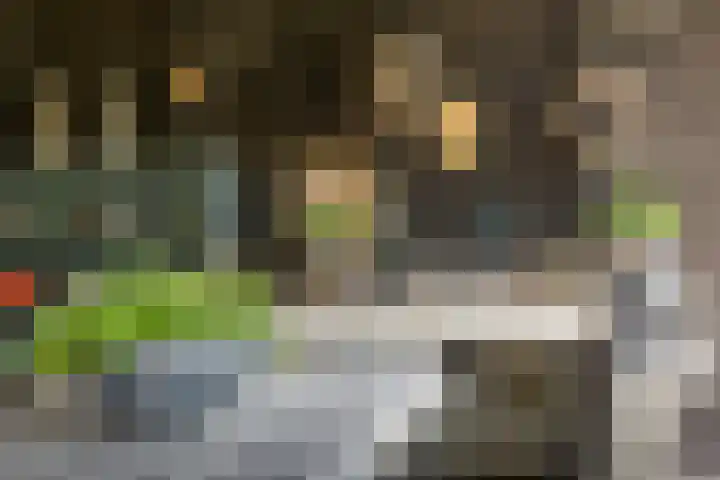 Jokweg 43 De Hoeve thumbnail 63
