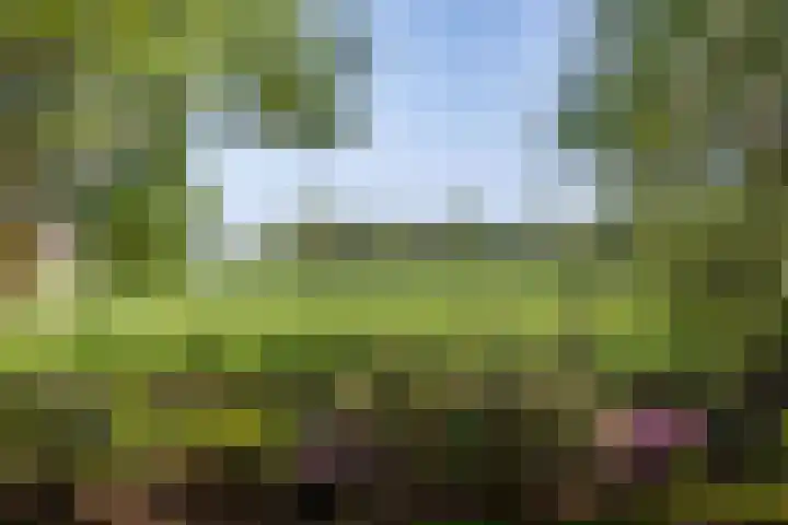 Jokweg 43 De Hoeve thumbnail 64