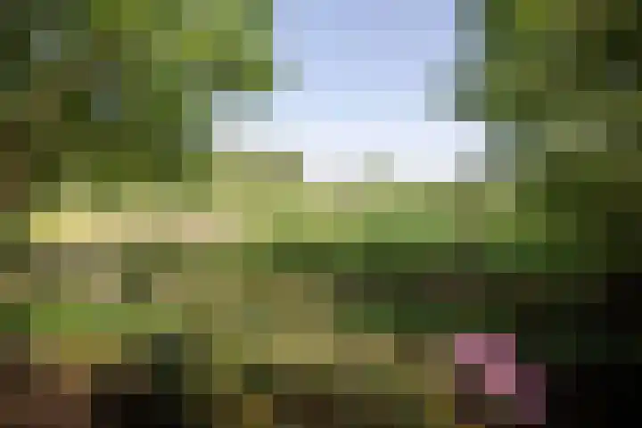 Jokweg 43 De Hoeve thumbnail 65