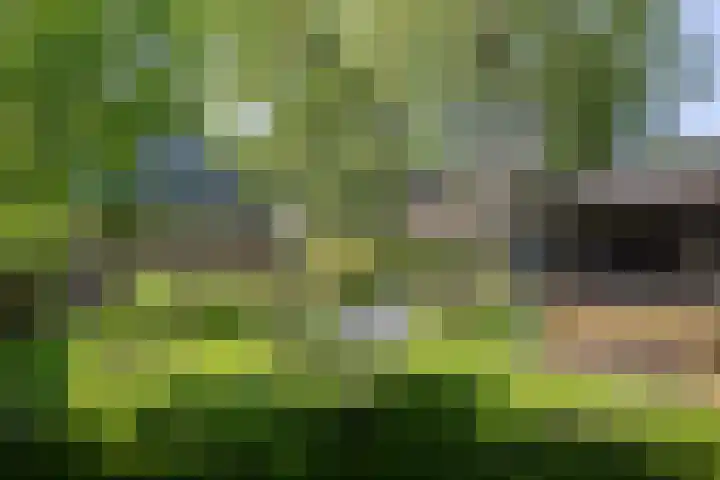 Jokweg 43 De Hoeve thumbnail 66