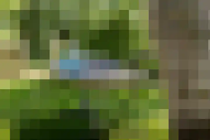 Jokweg 43 De Hoeve thumbnail 67