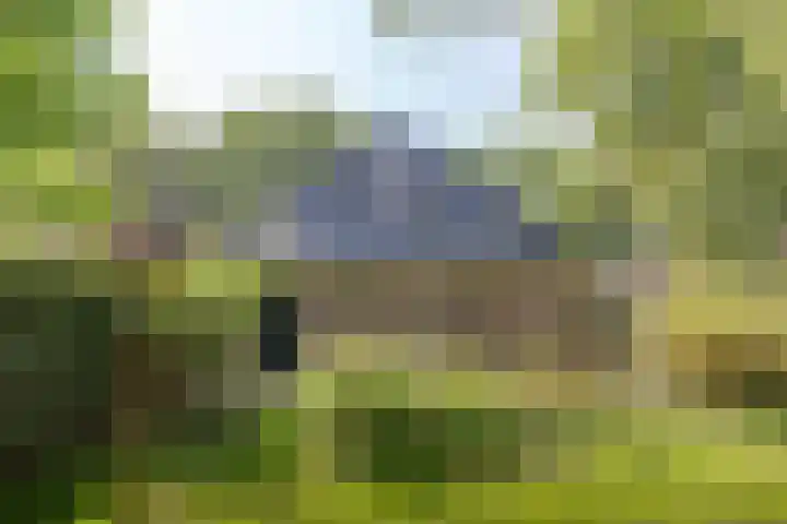 Jokweg 43 De Hoeve thumbnail 68