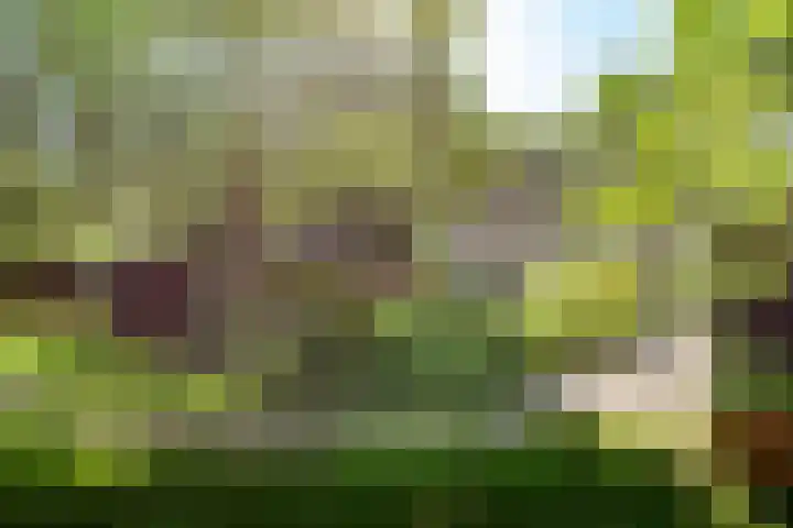 Jokweg 43 De Hoeve thumbnail 69