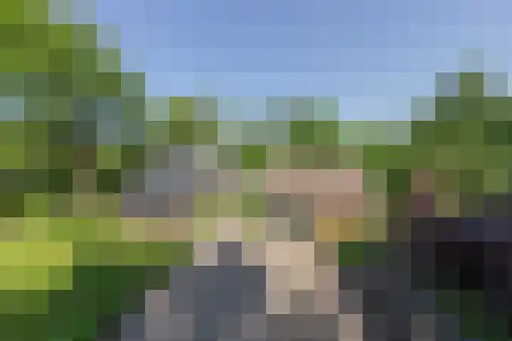 Jokweg 43 De Hoeve thumbnail 7