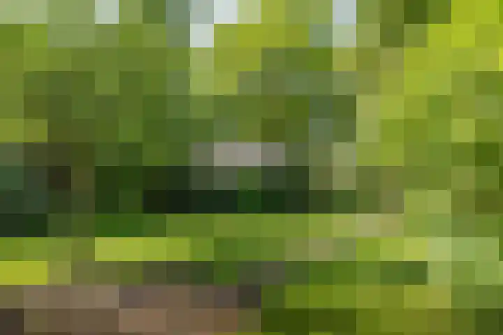Jokweg 43 De Hoeve thumbnail 70