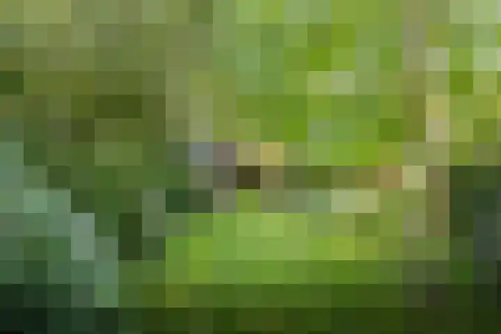 Jokweg 43 De Hoeve thumbnail 71