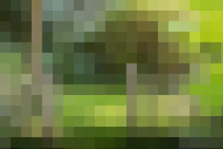 Jokweg 43 De Hoeve thumbnail 72