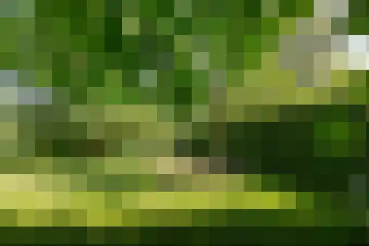Jokweg 43 De Hoeve thumbnail 73