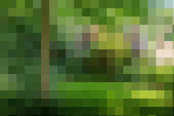 Jokweg 43 De Hoeve thumbnail 74