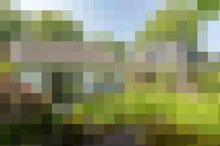 Jokweg 43 De Hoeve thumbnail 75