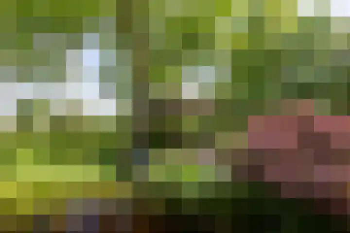 Jokweg 43 De Hoeve thumbnail 76