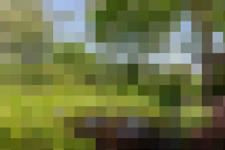 Jokweg 43 De Hoeve thumbnail 77