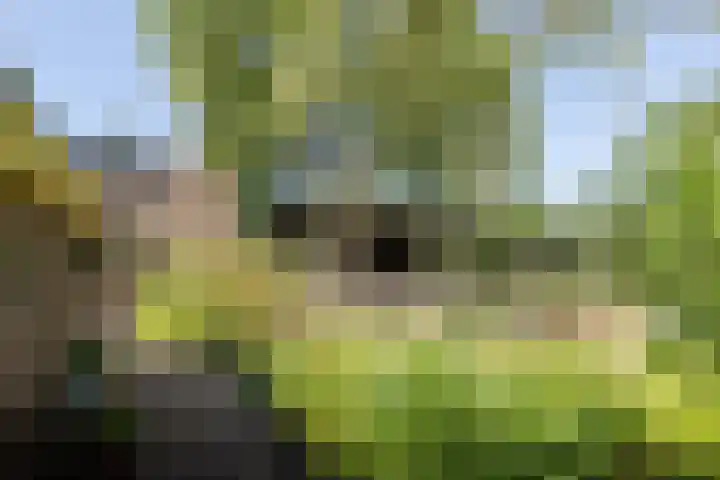 Jokweg 43 De Hoeve thumbnail 78