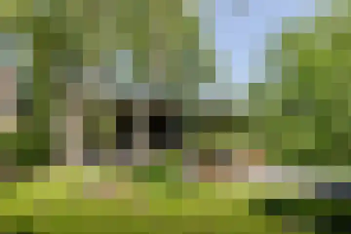 Jokweg 43 De Hoeve thumbnail 79