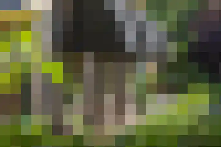 Jokweg 43 De Hoeve thumbnail 8
