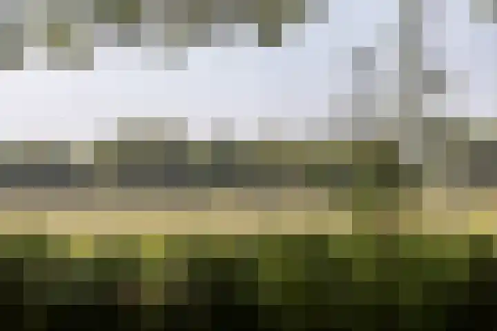 Jokweg 43 De Hoeve thumbnail 80
