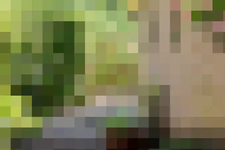 Jokweg 43 De Hoeve thumbnail 82