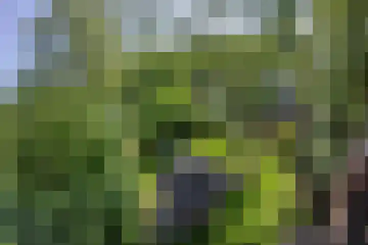 Jokweg 43 De Hoeve thumbnail 83
