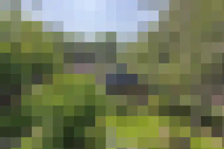 Jokweg 43 De Hoeve thumbnail 84