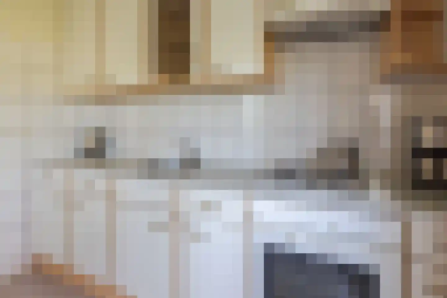 Jokweg 54 De Hoeve thumbnail 10