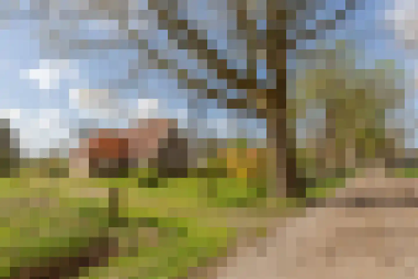 Jokweg 54 De Hoeve foto 2