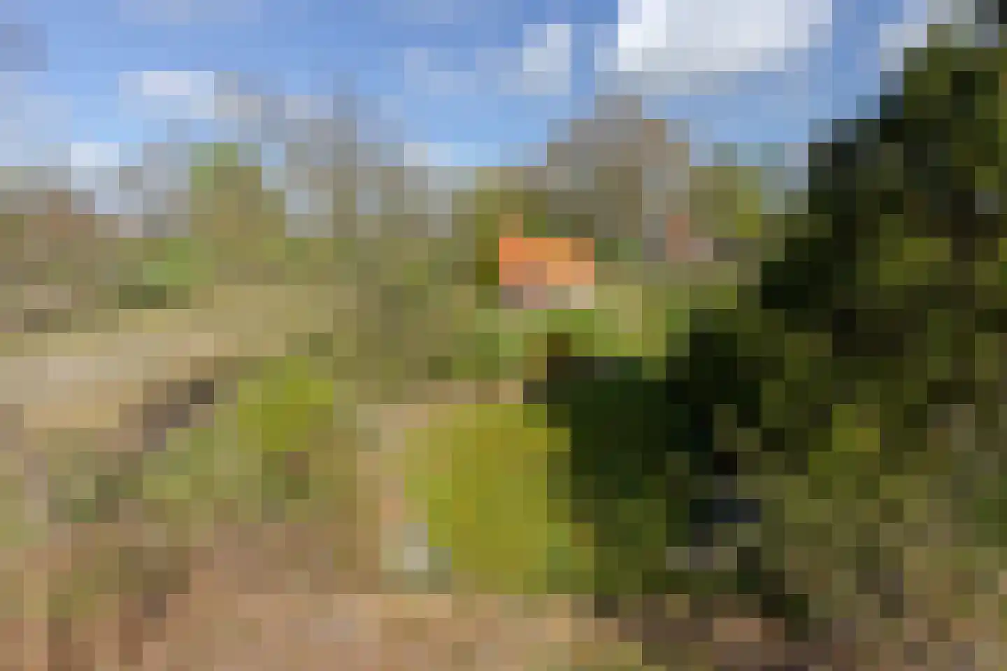 Jokweg 54 De Hoeve thumbnail 24