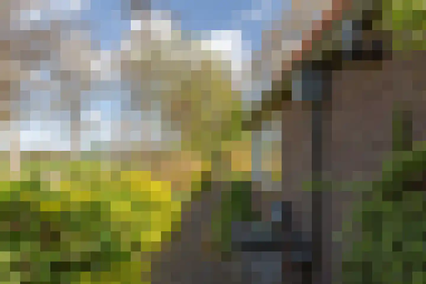 Jokweg 54 De Hoeve thumbnail 28
