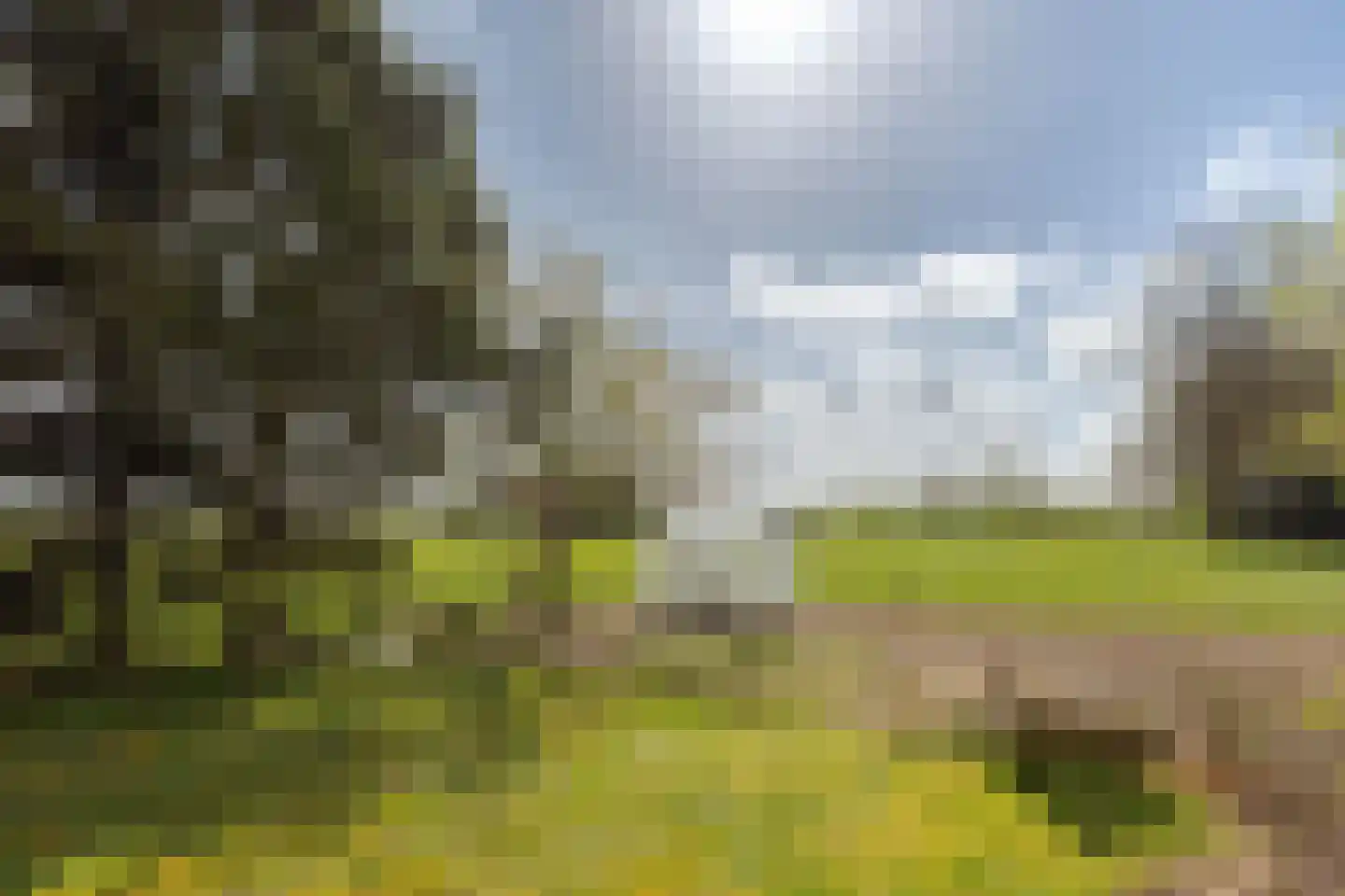 Jokweg 54 De Hoeve thumbnail 31