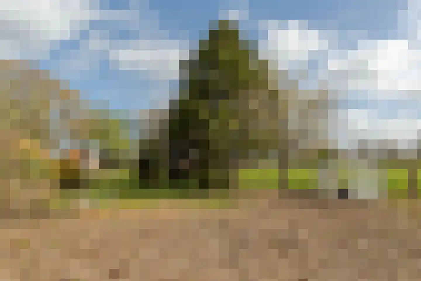 Jokweg 54 De Hoeve thumbnail 33